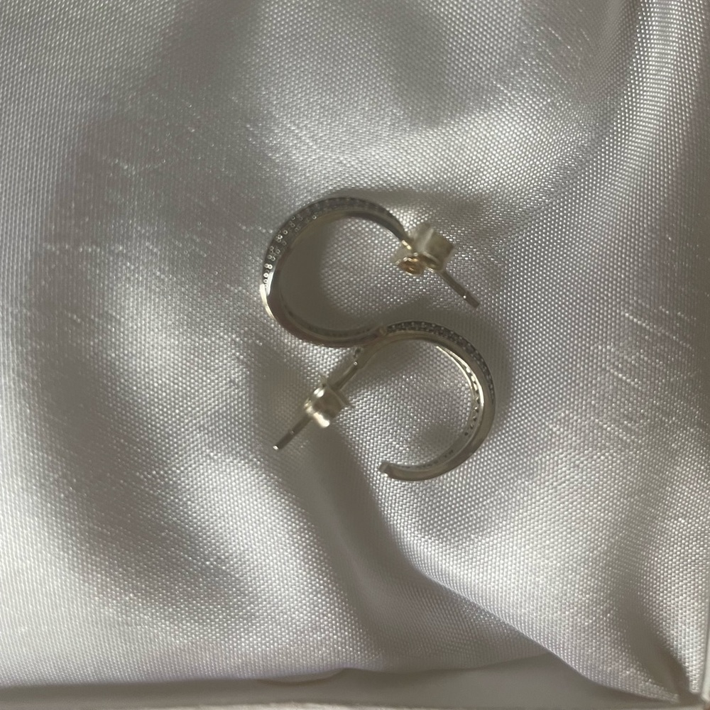 Pandora earrings